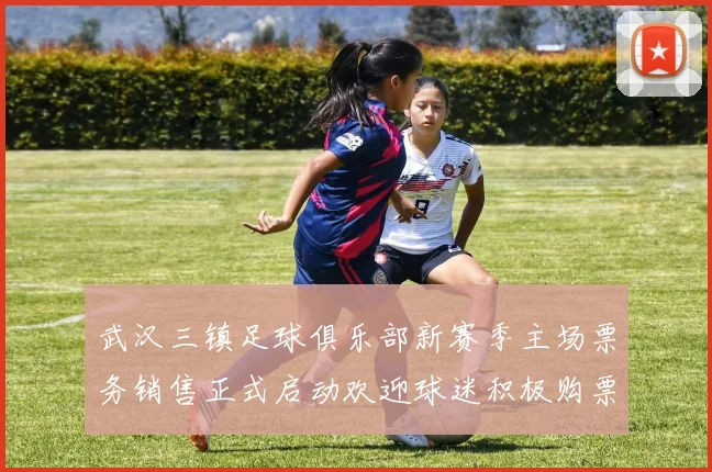 武汉三镇足球俱乐部新赛季主场票务销售正式启动欢迎球迷积极购票支持球队