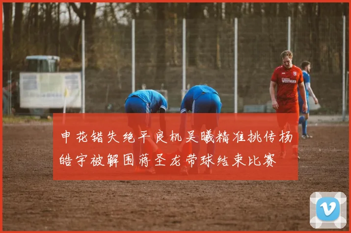 申花错失绝平良机吴曦精准挑传杨皓宇被解围蒋圣龙带球结束比赛