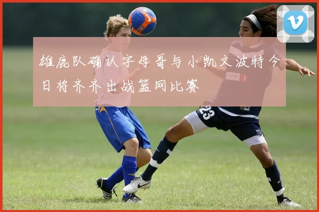 雄鹿队确认字母哥与小凯文波特今日将齐齐出战篮网比赛