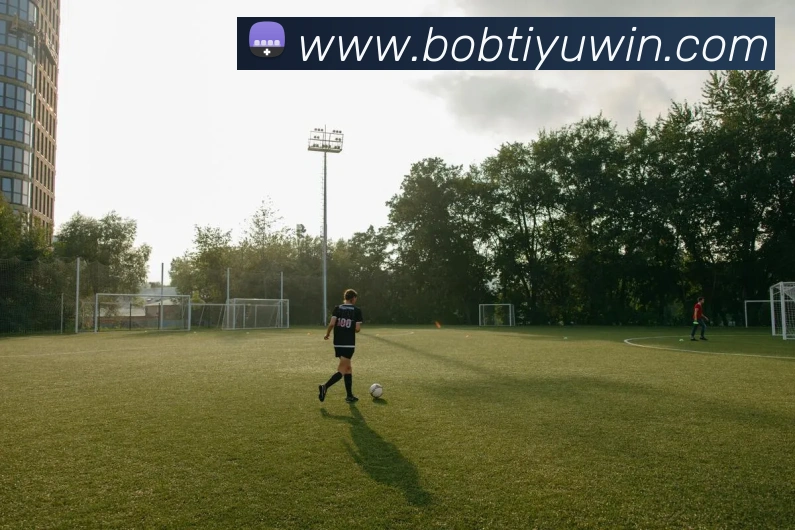 BOB体育发展历程