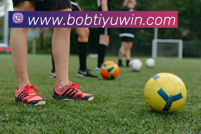奖项证书